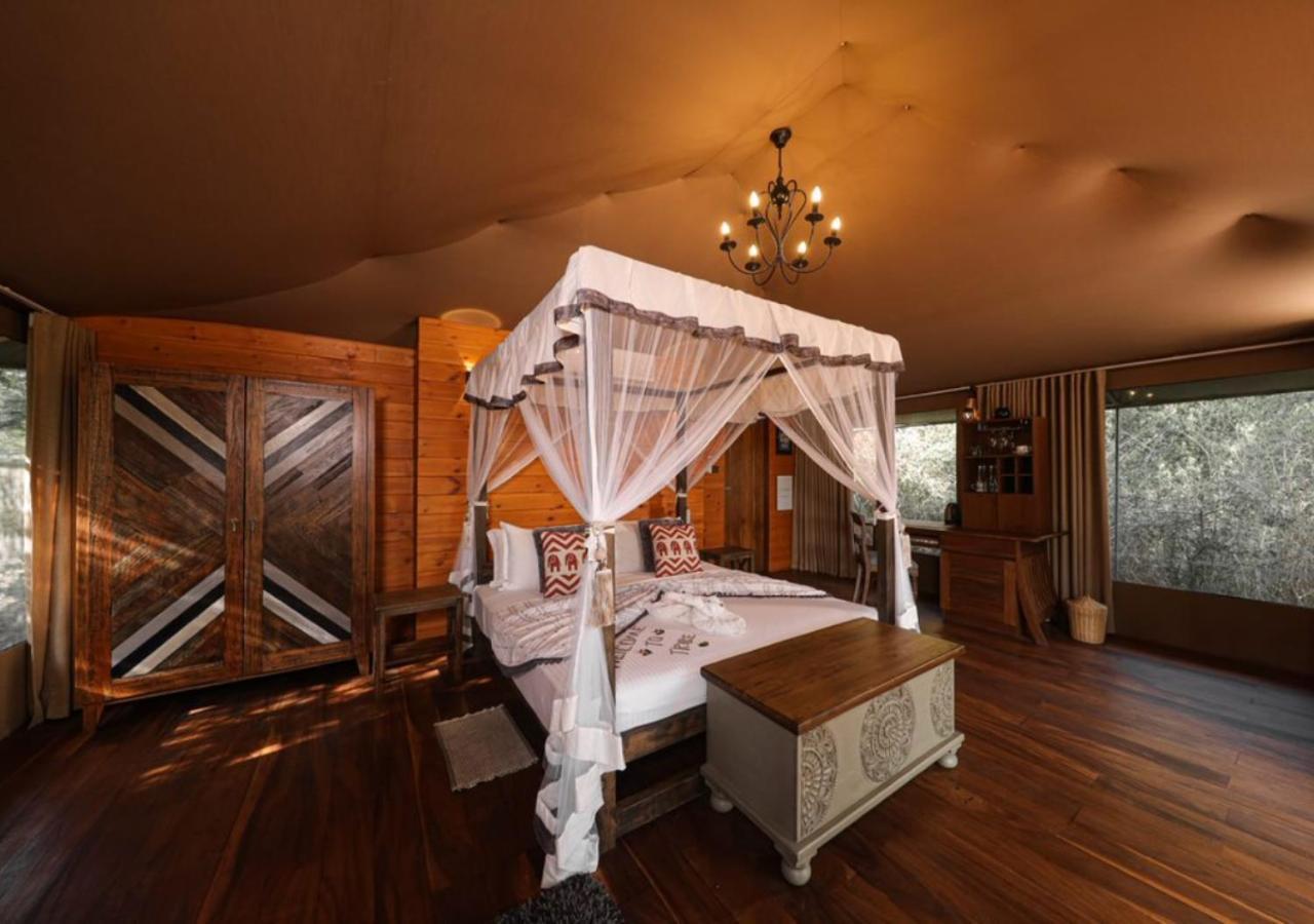 Tente de luxe Tribe - Luxury Yala