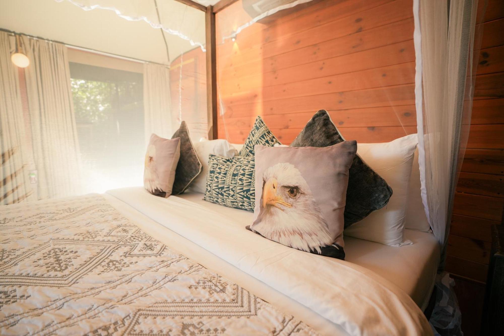 Tribe - Luxury Tente de luxe Yala